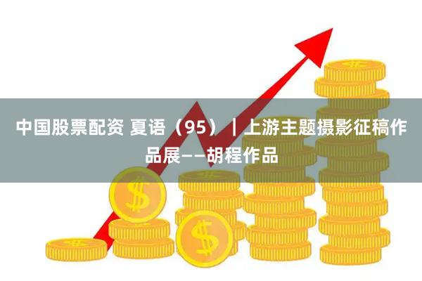 中国股票配资 夏语（95）｜上游主题摄影征稿作品展——胡程作品
